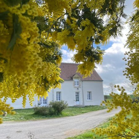 Gracay Les Mimosas 빌라 외부 사진