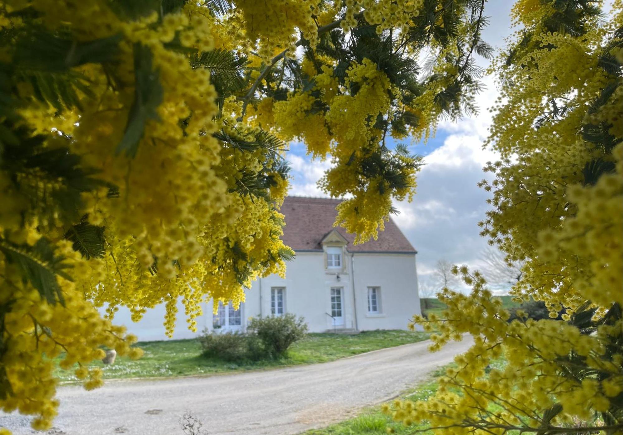 Gracay Les Mimosas 빌라 외부 사진